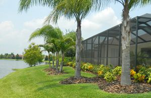 From mowing lawns and landscape maintenance to tree and shrub installation, we can keep your Florida lawn looking beautiful year around.  