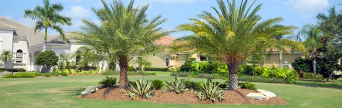 todd patton landscaping - lakewood ranch landscaping sarasota florida