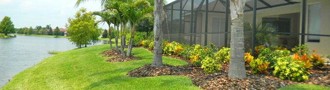 university park and the meadows landscaping sarasota florida